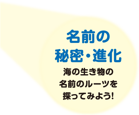 名前の秘密・進化 海の生き物の名前のルーツを探ってみよう！