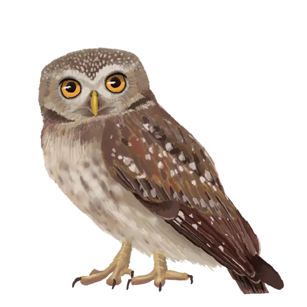 動物のイラスト