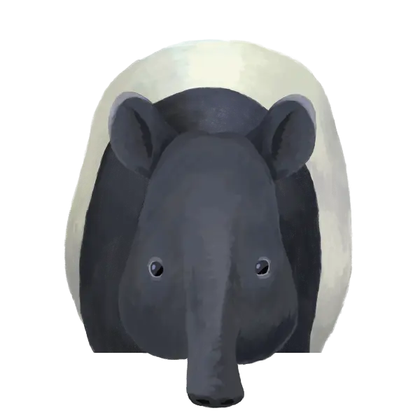 動物のイラスト