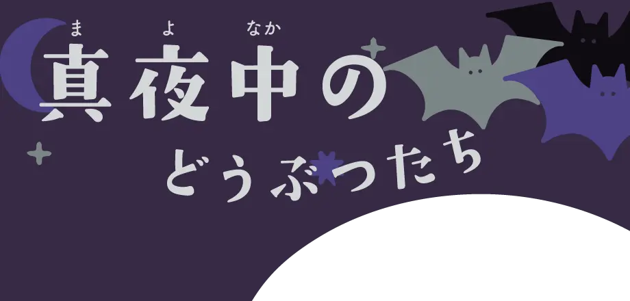 展示コーナーイメージ