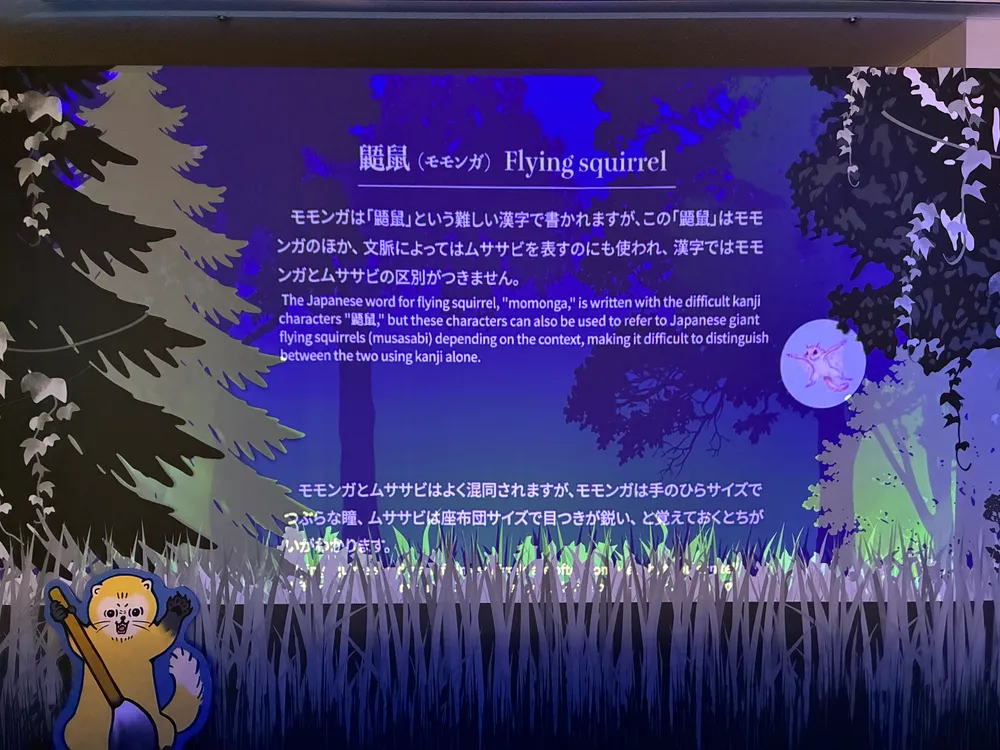 真夜中の動物たち